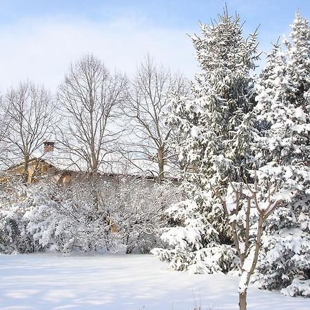 La Corte Del Cavaliere Bed & Breakfast Калдерала ди Рено Екстериор снимка