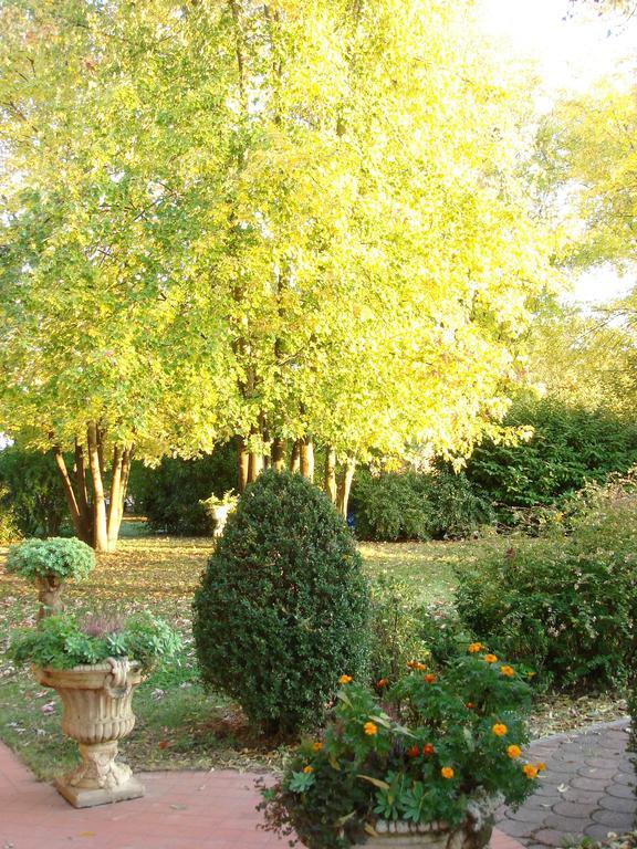 La Corte Del Cavaliere Bed & Breakfast Калдерала ди Рено Екстериор снимка