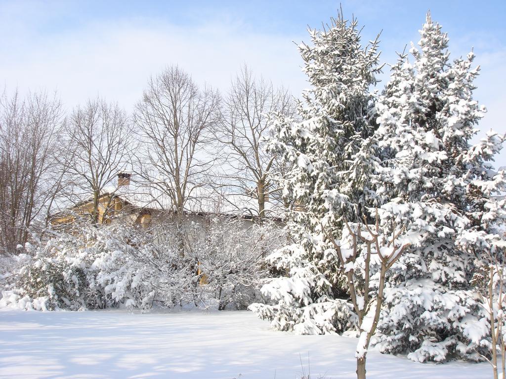 La Corte Del Cavaliere Bed & Breakfast Калдерала ди Рено Екстериор снимка
